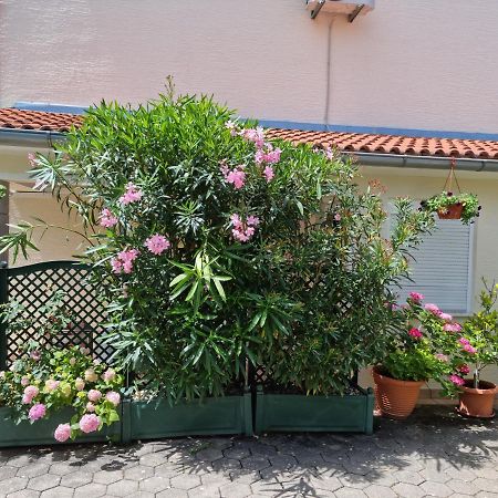 Apartments Zoretic Малинска Екстериор снимка